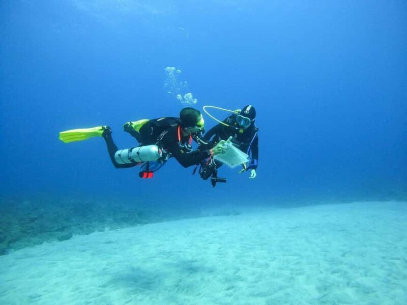 Introductory dive, to get started! - What to Expect from the Introductory Dive Experience