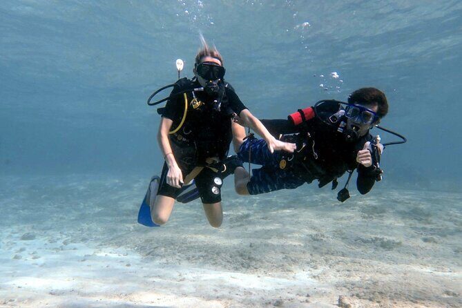 Introductory Diving Class in the Cozumel Reefs - Key Points