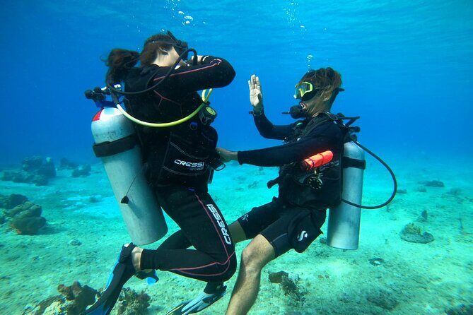 Introductory Diving Class in the Cozumel Reefs - Detailed Review of the Cozumel Introductory Diving Experience