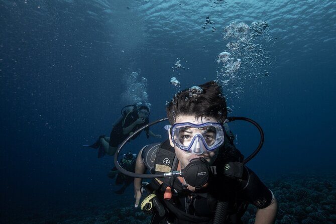 Introductory Scuba Diving Experience in Bora Bora - What to Expect During the Tour