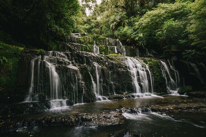 Invercargill to Dunedin via the Catlins Small Group 1 Way Tour - Why Travelers Love This Tour