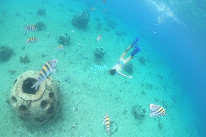 Invisible Boat Snorkeling Tour - FAQ