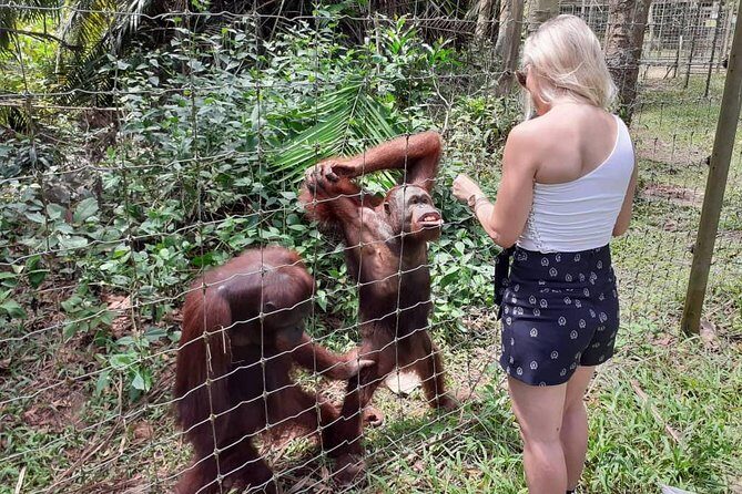 Ipoh Heritage & Orang Utan Island Day Tour from Kuala Lumpur - FAQ