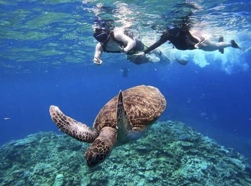 Iriomote: Boat Snorkeling Tour at Barasu Island - The Sum Up
