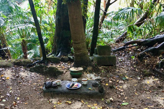 Iriomote Culture Discovery. Indigenous culture on Iriomote Island - Final Thoughts: A Worthwhile Cultural Footprint