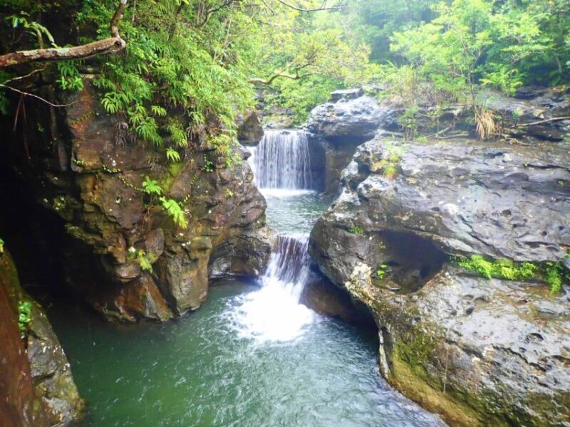 Iriomote Island: Guided 2-Hour Canyoning Tour - Practical Details and Tips