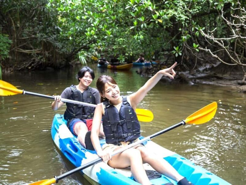 Iriomote island: Mangrove River SUP or Canoe Cruising Tour - Exploring Iriomote’s Mangrove Ecosystem