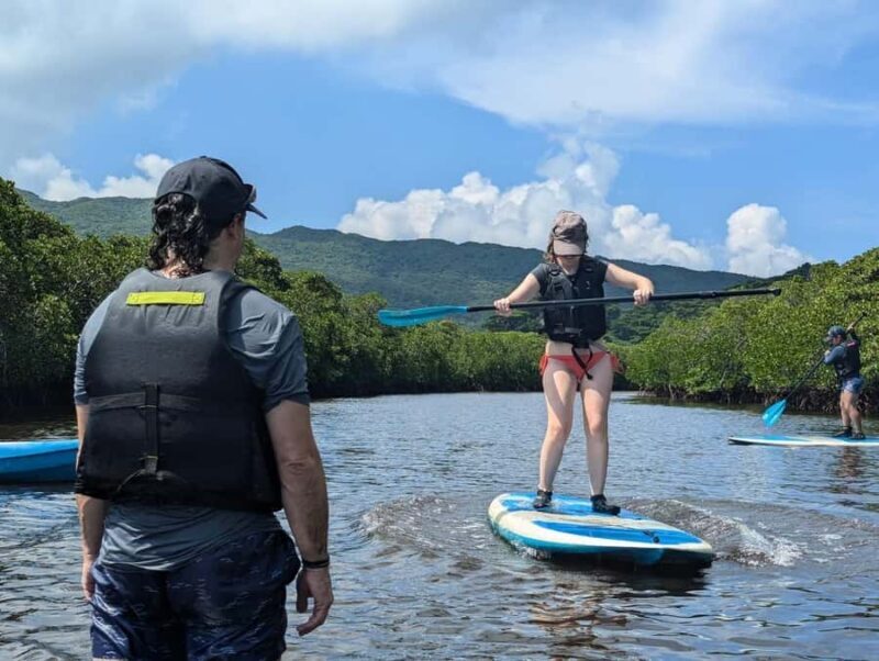 Iriomote island: Mangrove River SUP or Canoe Cruising Tour - Low Tide Trekking and Wildlife Encounters