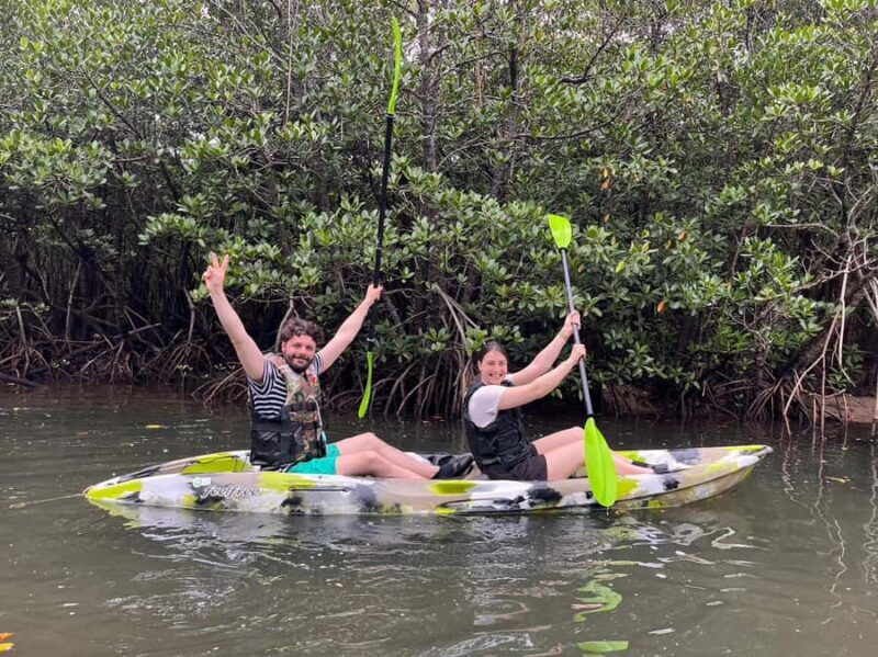 Iriomote island: Mangrove River SUP or Canoe Cruising Tour - Whats Included and Whats Not