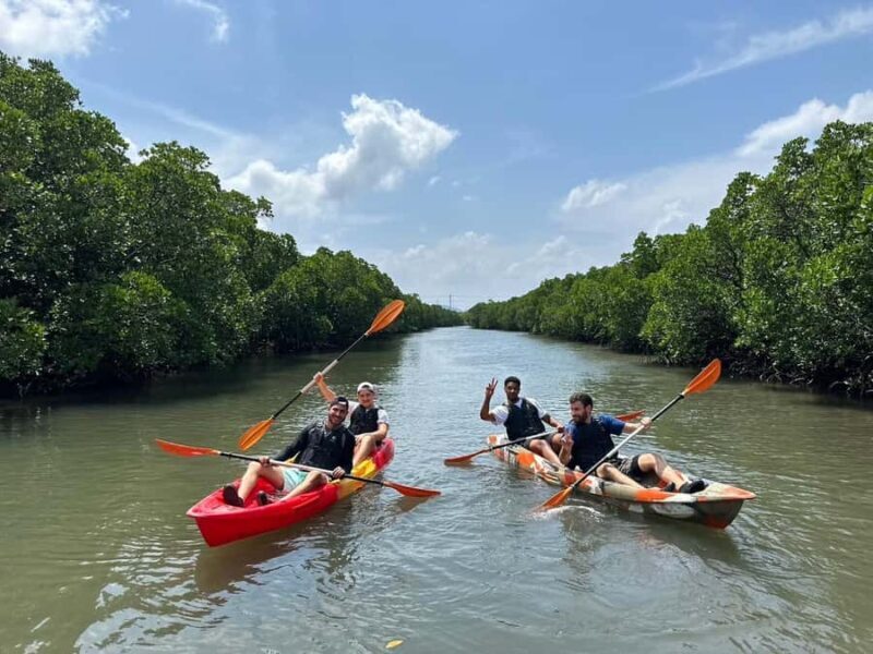 Iriomote island: Mangrove River SUP or Canoe Cruising Tour - Authentic Feedback from Travelers