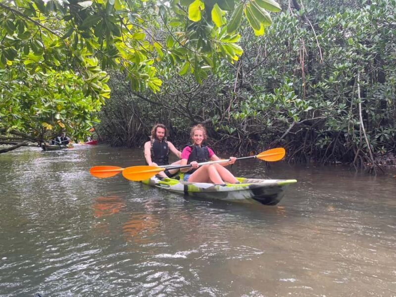 Iriomote island: Mangrove River SUP or Canoe Cruising Tour - Who Will Love This Tour?