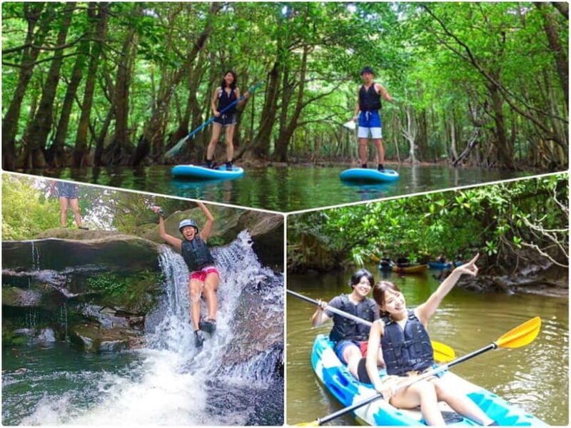 Iriomote Island: SUP or Canoeing and Canyoning Tour - The Full Breakdown of the Tour Experience