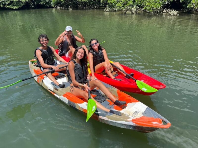 Iriomote: Mangrove SUP or Canoe and Yubujima sightseeing - Key Points