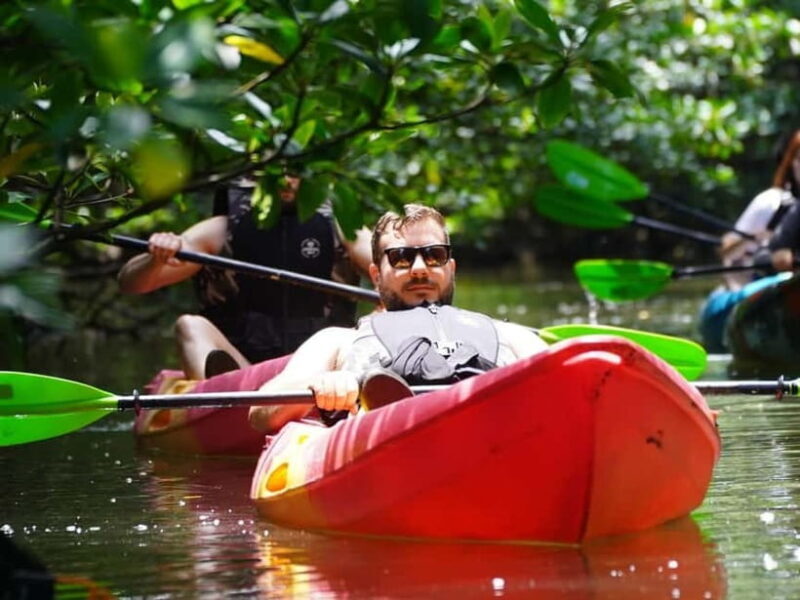 Iriomote: Mangrove SUP or Canoe and Yubujima sightseeing - Why This Tour Works for You