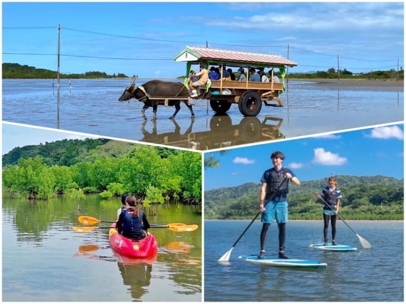 Iriomote: Mangrove SUP or Canoe and Yubujima sightseeing - What’s Included and What’s Not