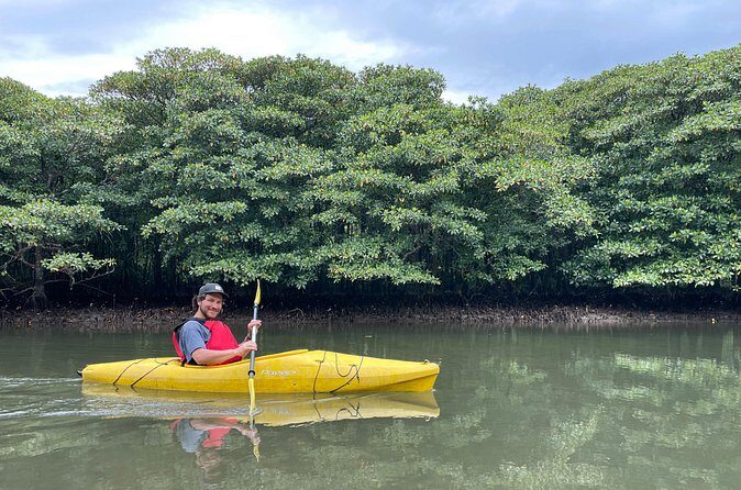Iriomotes Adventure: Pinaisara Falls Canoe and Trekking Tour - What the Reviews Say