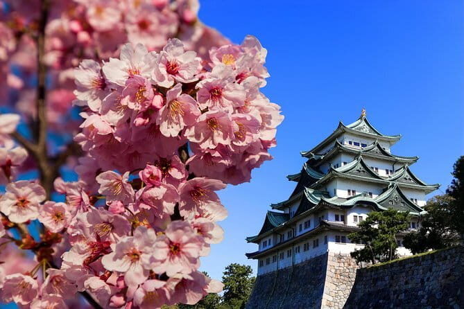 Ises Sacred Shrines and Captivating Coastlines - From Nagoya - The Authentic Experiences