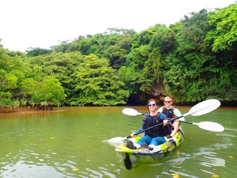 Ishigaki Island: 2-Hour Miyara River SUP or Canoeing Tour - Key Points