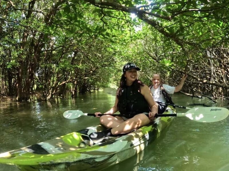 Ishigaki Island: 2-Hour Miyara River SUP or Canoeing Tour - The Experience: What to Expect on the Miyara River Tour