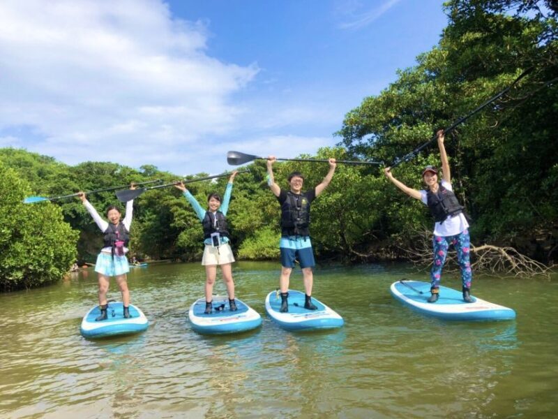 Ishigaki Island: 2-Hour Miyara River SUP or Canoeing Tour - Authentic Encounters and Review Highlights