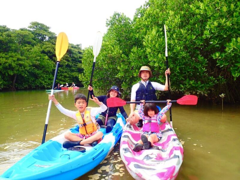 Ishigaki Island: 2-Hour Miyara River SUP or Canoeing Tour - Who This Tour Is Best For