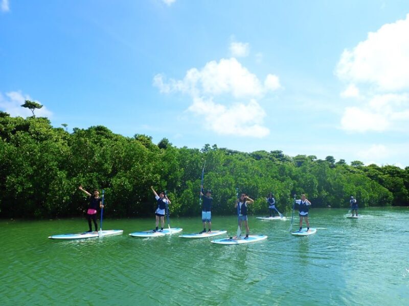 Ishigaki Island: 2-Hour Miyara River SUP or Canoeing Tour - Frequently Asked Questions