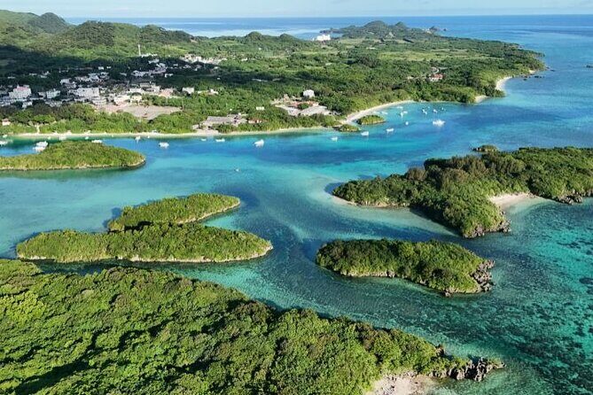 Ishigaki Island Private Tour Trails & Scenic Spots - A Deep Dive into the Ishigaki Private Tour Experience