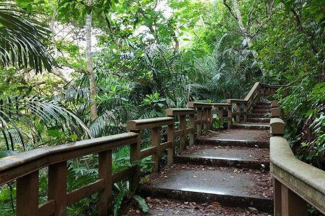 Ishigaki Island Shore Excursion, Trails and Scenic Spots - Who Is This Tour Best For?