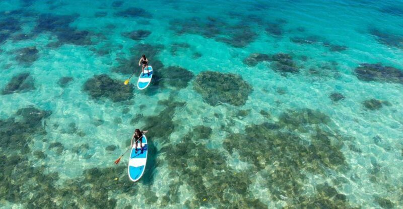 Ishigaki Island: SUP or Kayaking experience at Kabira Bay - Concluding Thoughts