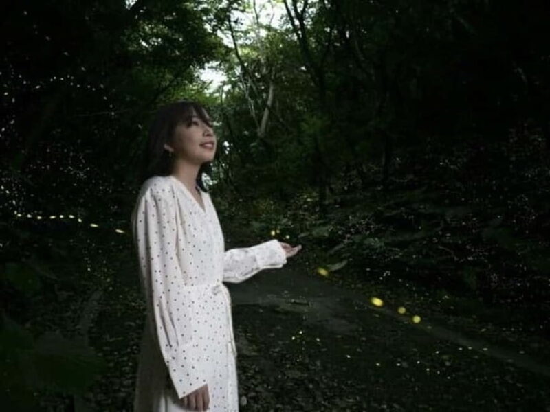 Ishigaki Island: Yaeyamahime Firefly Viewing Tour - Considerations and Limitations