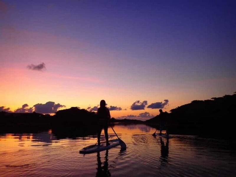Ishigaki Island:Choice of Sunrise SUP or Canoe Tour - A Detailed Look at the Sunrise Paddle Tour