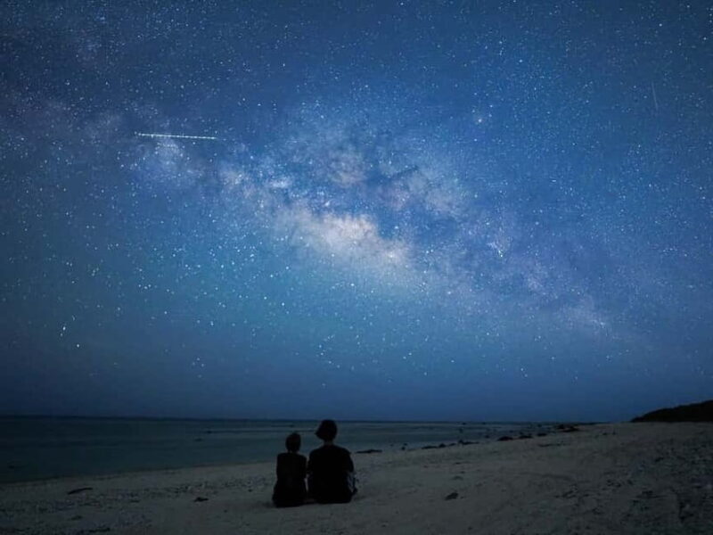 Ishigaki: Jungle Walk and Stargazing Night Tour - Key Points