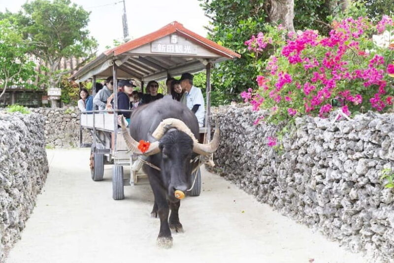 Ishigaki: Kabira Bay SUP or Canoe & Taketomi Sightseeing - FAQ