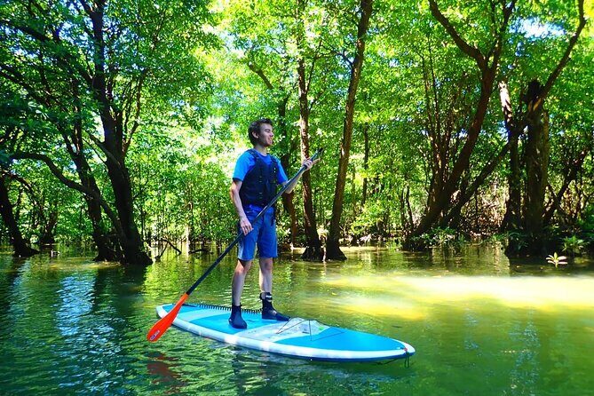 Ishigaki Mangrove Canoe / SUP & Taketomi Island Exploration - Who Would Love This Tour?