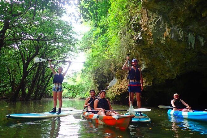 Ishigaki Mangrove Canoe / SUP & Taketomi Island Exploration - FAQ