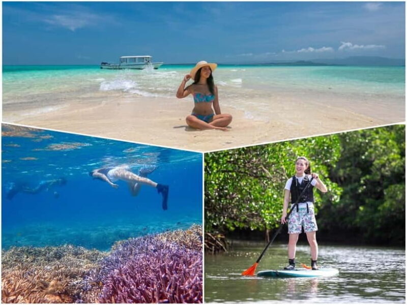 Ishigaki: Mangrove SUP or Canoe & Phantom Island Snorkeling - A Comprehensive Look at the Ishigaki Mangrove SUP and Snorkeling Tour