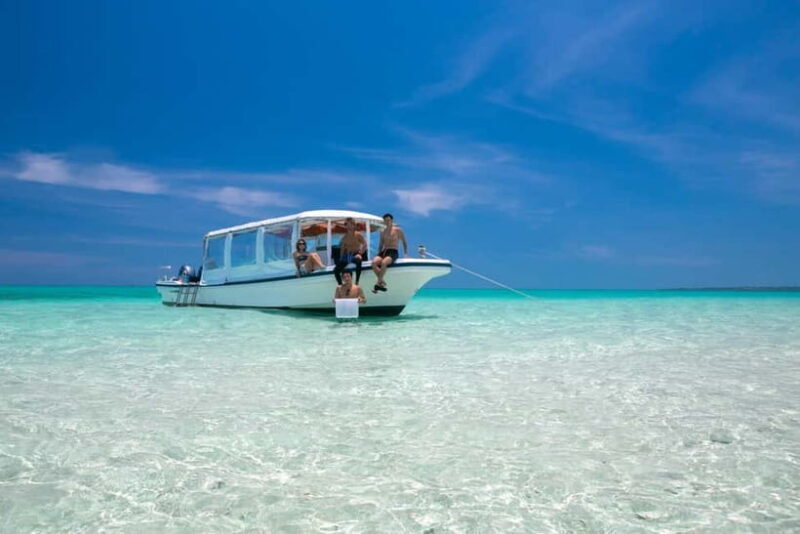 Ishigaki: Mangrove SUP or Canoe & Phantom Island Snorkeling - Who Will Love This Tour?