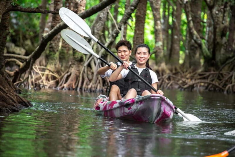 Ishigaki: Mangrove SUP or Canoe Tour Taketomi Sightseeing - An In-Depth Look at the Ishigaki Mangrove SUP or Canoe Tour