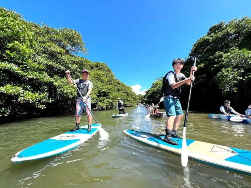 Ishigaki: Mangrove SUP or Canoe Tour Taketomi Sightseeing - Why This Tour Is a Good Value