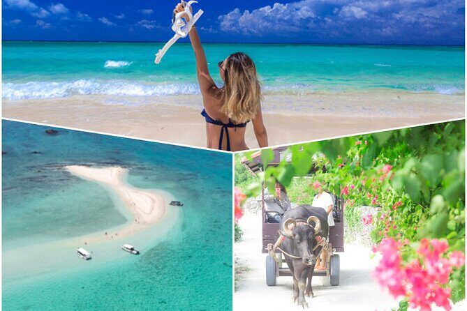 Ishigaki Phantom Island Snorkeling Taketomi Island Sightseeing - Introduction: Exploring Ishigaki’s Hidden Gems