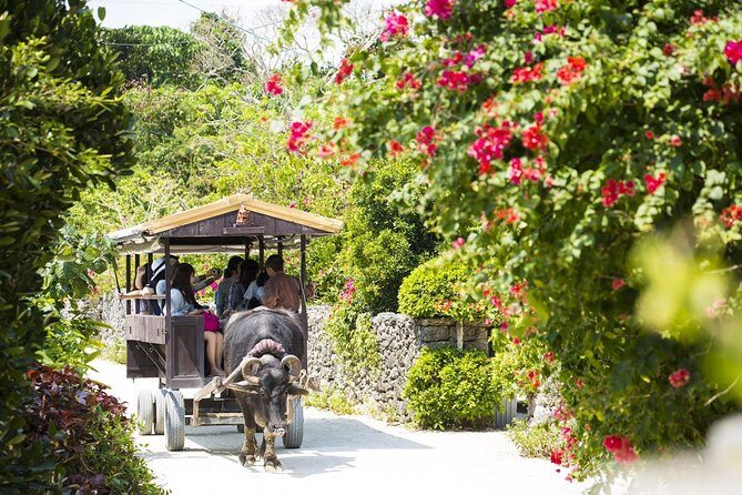 Ishigaki Phantom Island Snorkeling Taketomi Island Sightseeing - Practical Details & Tips