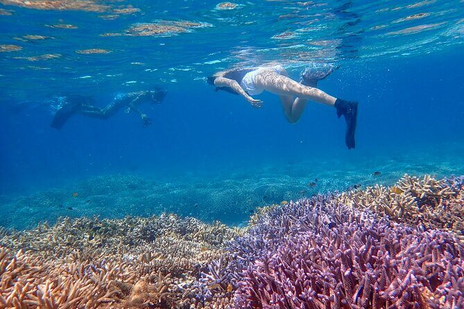 Ishigaki Phantom Island Snorkeling Taketomi Island Sightseeing - FAQ
