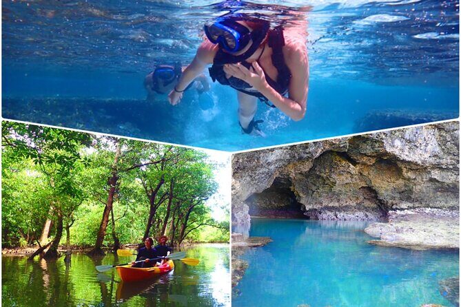 [Ishigaki]Mangrove SUP/Canoe + Blue Cave Snorkeling - A Detailed Look at the Ishigaki Mangrove SUP/Canoe + Blue Cave Snorkeling Tour