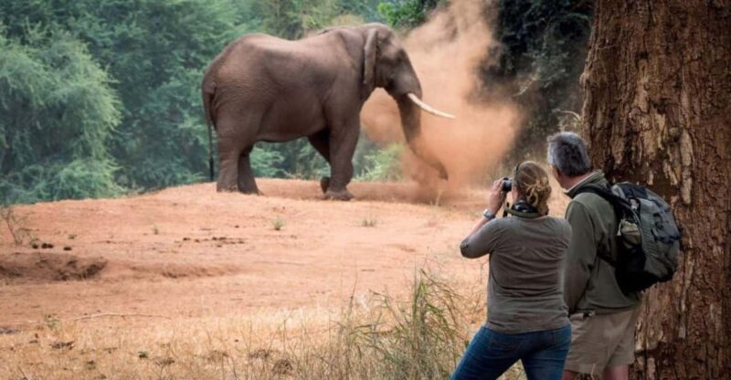 Isimangaliso Day Tour & Hippo & Croc Boat Cruise From Durban - An Overview of the Experience
