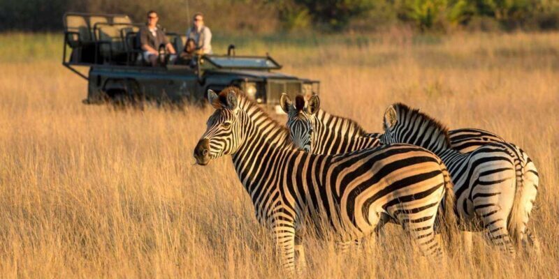 Isimangaliso Day Tour & Hippo & Croc Boat Cruise From Durban - Final Thoughts