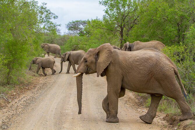 iSimangaliso Sunset Game Drive - What Does the Tour Cover?