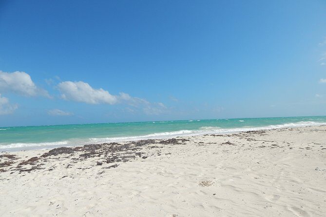 Isla Blanca wildlife expedition private bike & boat tour cancun mexico - Authentic Feedback from Travelers
