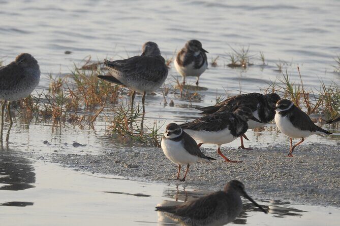 Isla Blanca wildlife expedition private bike & boat tour cancun mexico - Who Should Consider This Tour?