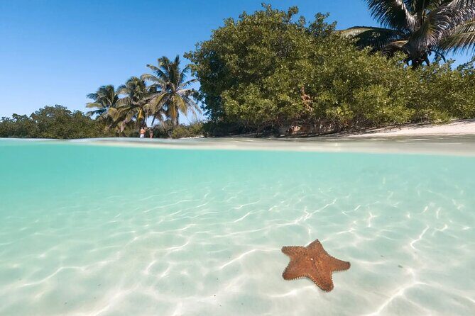 Isla Contoy and Isla Mujeres with All Inclusive Snorkeling - Authentic Experiences and Local Flavor