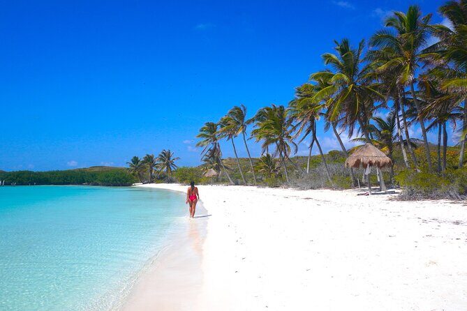 Isla Contoy and Isla Mujeres with All Inclusive Snorkeling - Value for Money